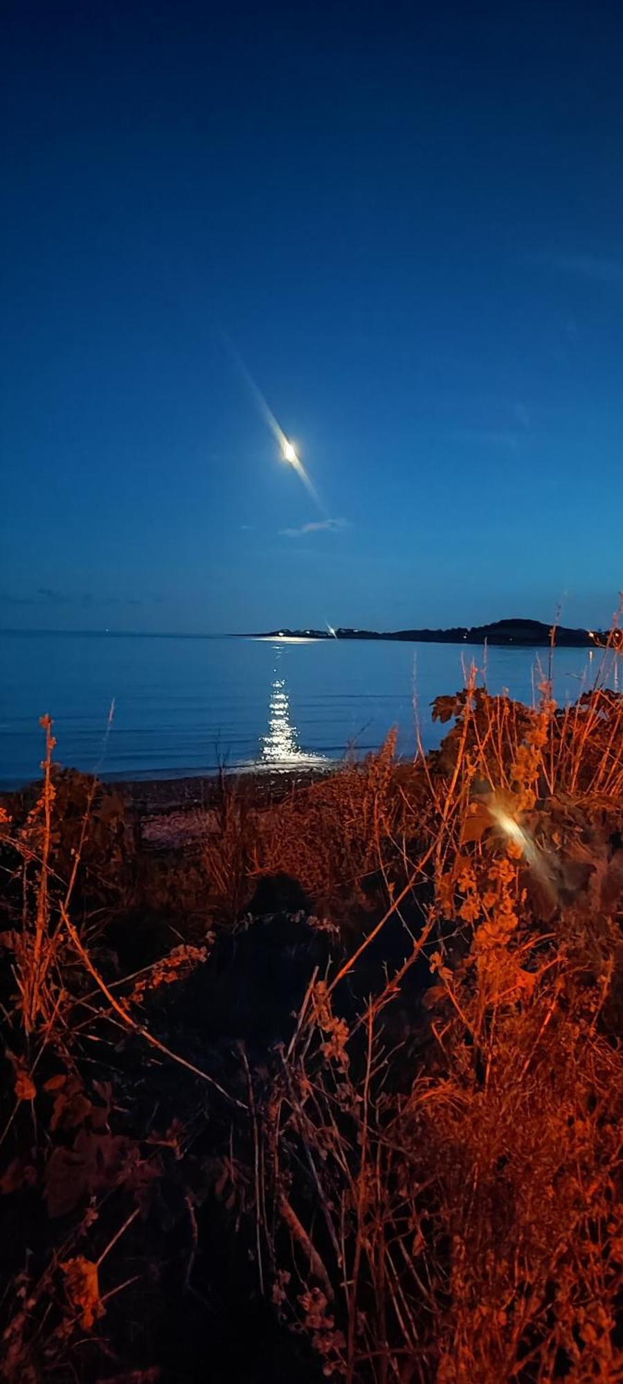 Horse Island View Luxury Retreat Appartement Kircubbin Buitenkant foto